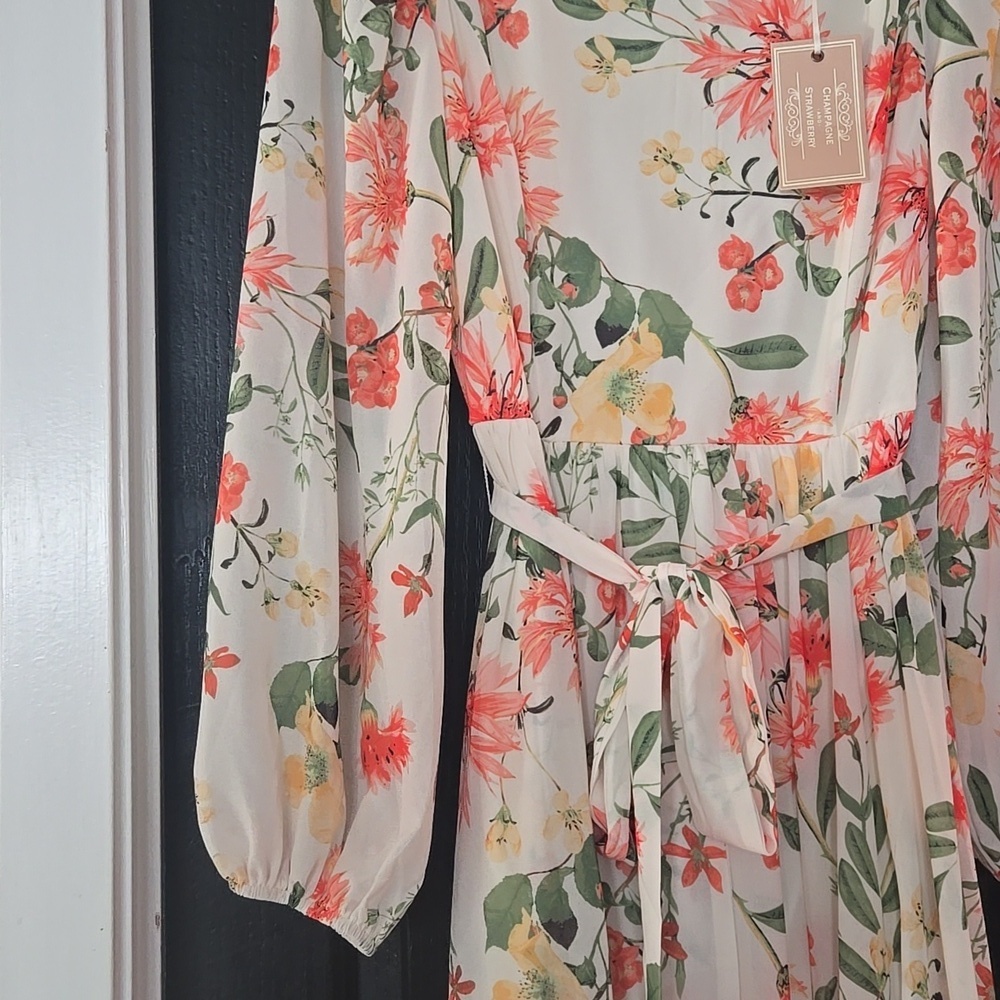 Yumi Kim Champagne & Strawberry Floral Blouson Sleeve Maxi Dress Size Medium - Picture 3 of 15